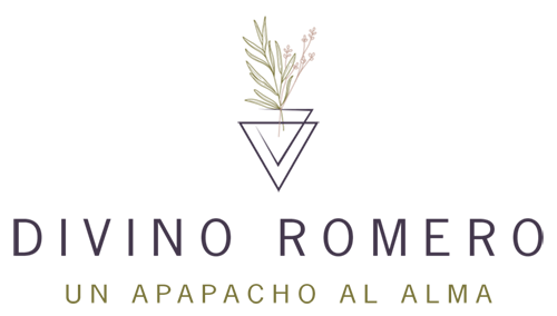 Divino Romero Logo, designed by Mitch Mahoney at Euphoric Media.